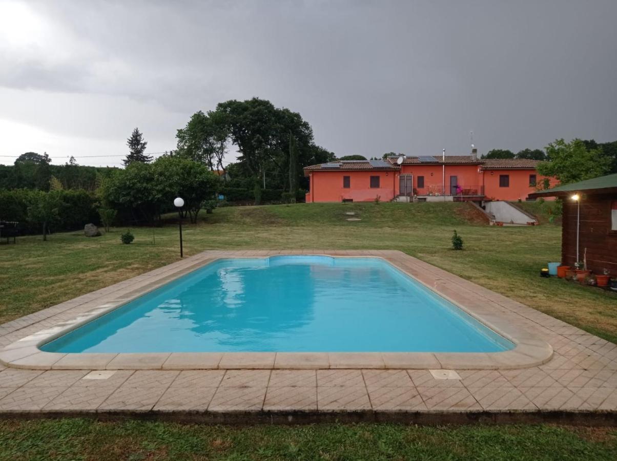 Tenuta Quadrone Cura di Vetralla エクステリア 写真
