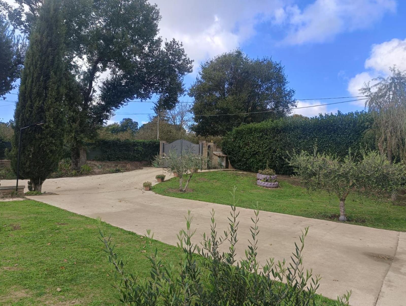 Tenuta Quadrone Cura di Vetralla エクステリア 写真